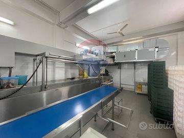 Laboratorio - Santa Maria di Licodia