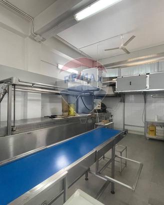 Laboratorio - Santa Maria di Licodia