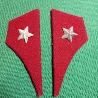 Mostrine divisa sanità 