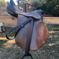 Sella all’Inglese tg 17