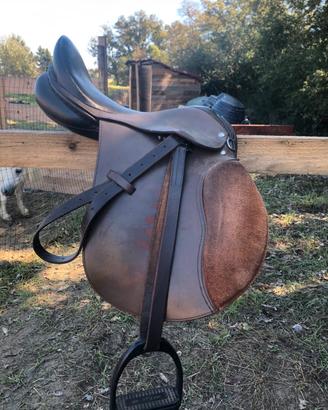 Sella all’Inglese tg 17