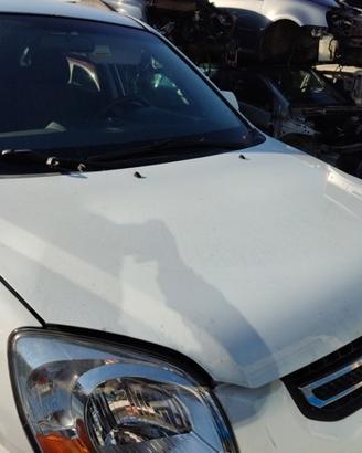 Cofano KIA SPORTAGE del 2010