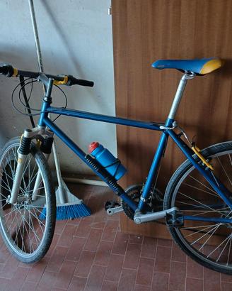 bici uomo shimano