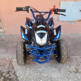 Mini quad 50 cc ruote da 6