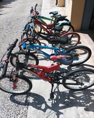 biciclette MTB 20 pollici