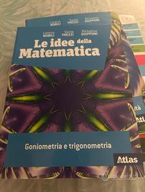 Le idee della matematica goniometria e trigonometr