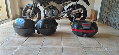 bauletti laterali yamaha tdm 900
