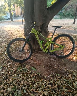 MTB WHISTLE ARIZONA  1721