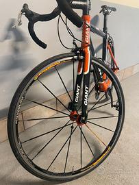 Giant tutta in carbonio