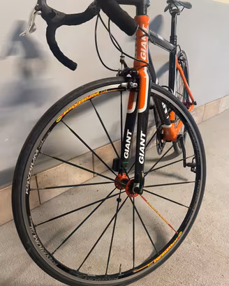 Giant tutta in carbonio