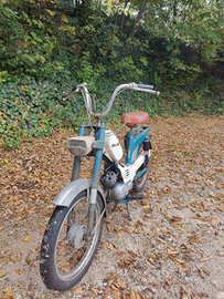 Benelli 50 export 3vk