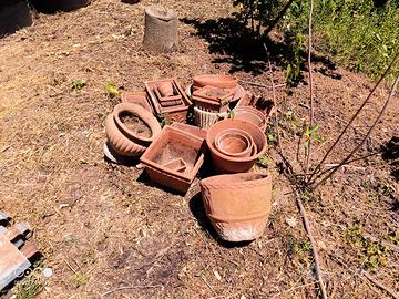 vasi in terracotta 