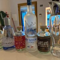 Bottiglie vuote gin e vodka