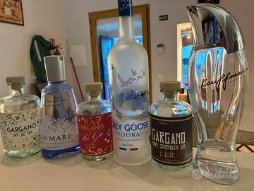 Bottiglie vuote gin e vodka