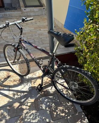 Bicicletta
