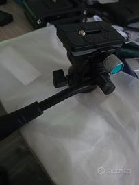 mini testa fluida 