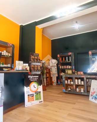 ATTIVITÀ A PALERMO