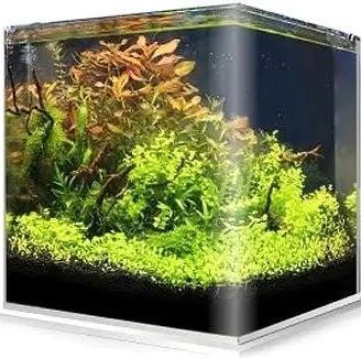 acquario amtra 60 lt