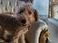 Immagine 3