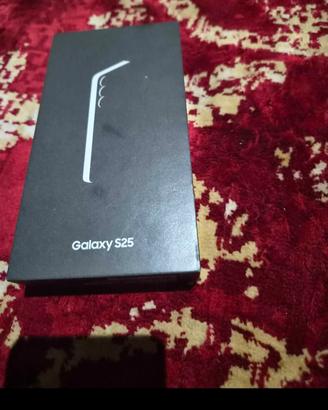 samsung s25  256 gb