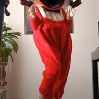 Costume Gabibbo carnevale
