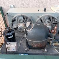 motocondensanti vetrina gelato