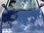 Immagine 7