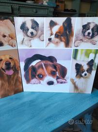 Quadretti con cagnolini