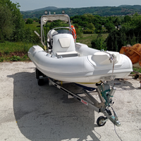 Gommone pegasus marine 460