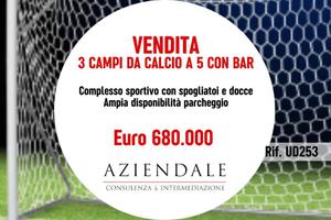 Attività / Licenza di 6000 m² con 4 locali a Veron