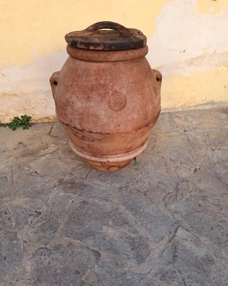 Orcio