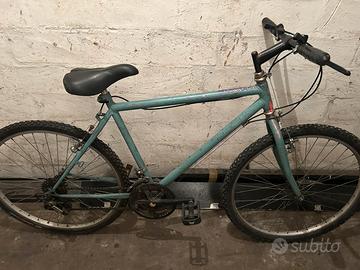 Bicicletta Mountain bike