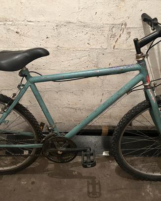 Bicicletta Mountain bike