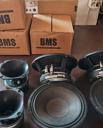 bms woofer b&c de 200