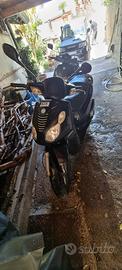 Carnaby piaggio