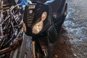 Carnaby piaggio