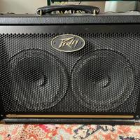 Amplificatore per Chitarra Acustica Peavey E208
