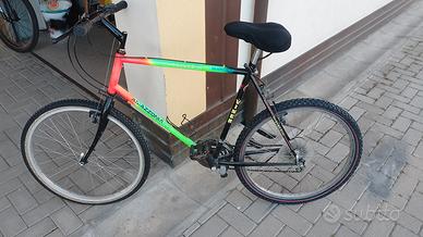 Mountain bike