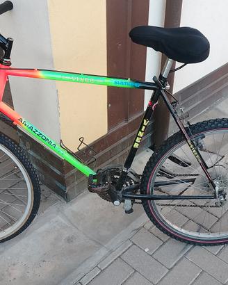 Mountain bike