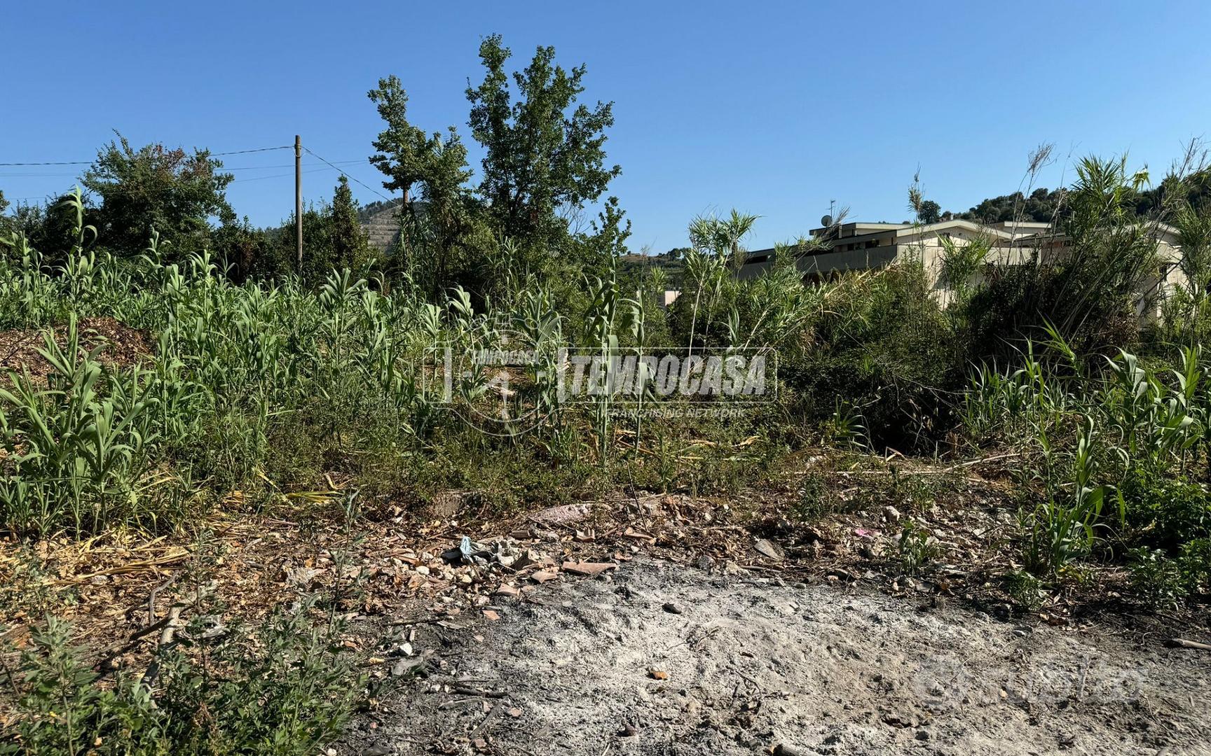 Terreno agricolo a Caserta Via Cancello - Vista 5