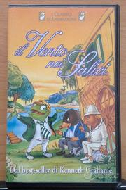 46 - Film in videocassetta cartoni animati