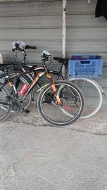 Bici Da Passeggio 28 Marca Regina 