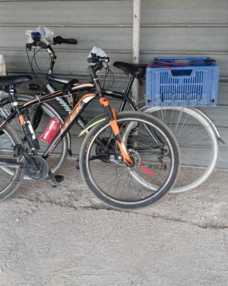Bici Da Passeggio 28 Marca Regina 