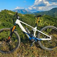 orbea wild m 10 
