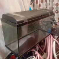 acquario 80lt