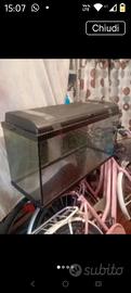 acquario 80lt