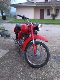 Moto Guzzi Altro modello - 1952