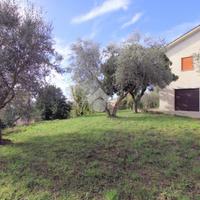 CASA INDIPENDENTE A TORRITA TIBERINA