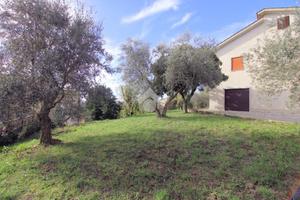 CASA INDIPENDENTE A TORRITA TIBERINA