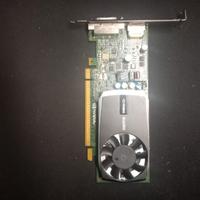 Nvidia Quadro 600